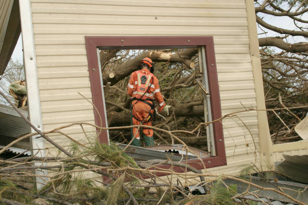 How Our Tree Care Process Works  in  Mission, KS